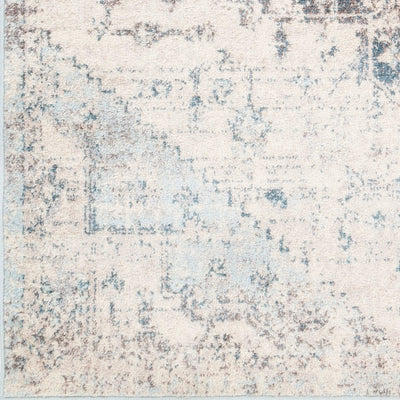 Ankara AKR-2310 Off-White Area Rug by LIVABLISS