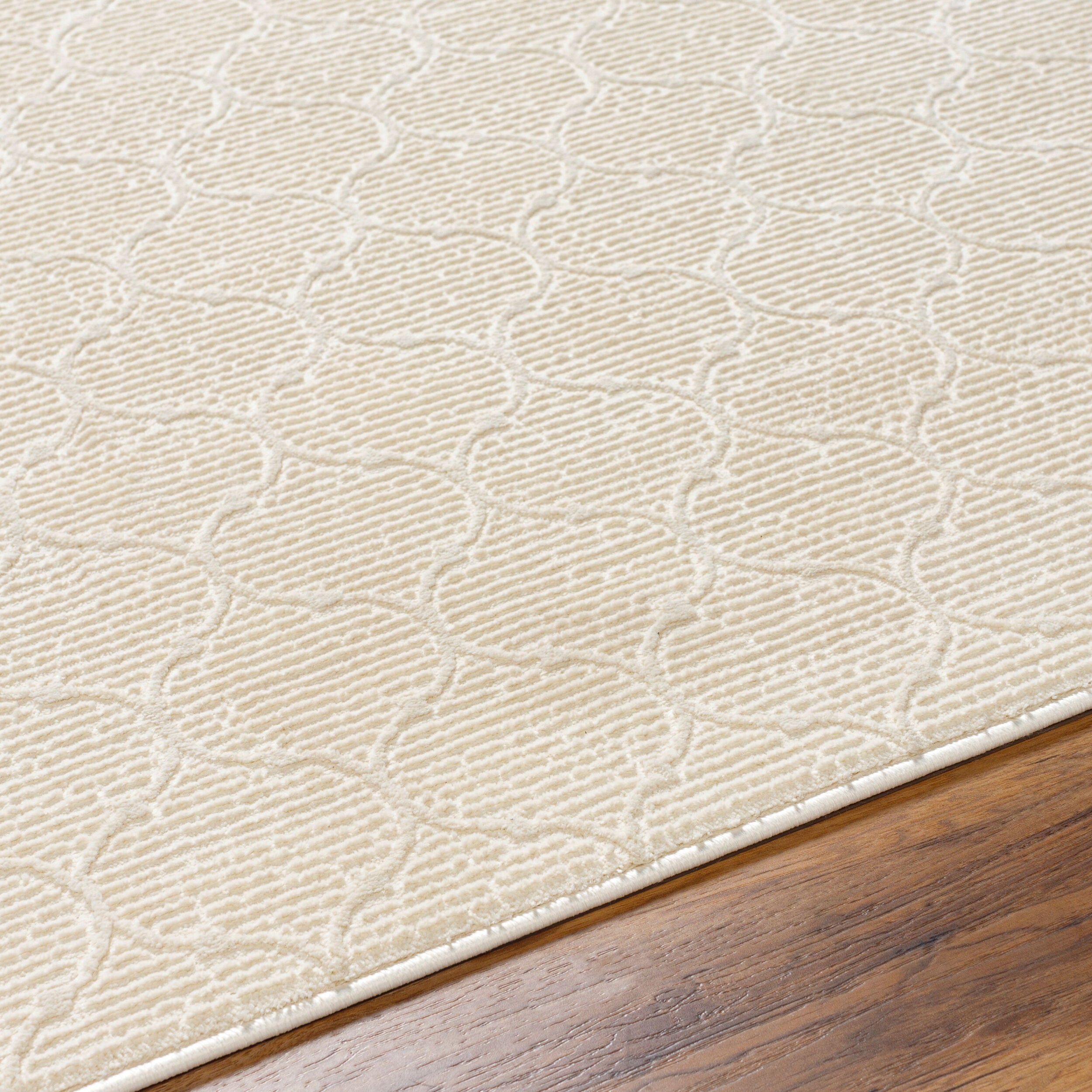 Surya Alder ALD-2307 Cream Machine Washable Area Rug by LIVABLISS