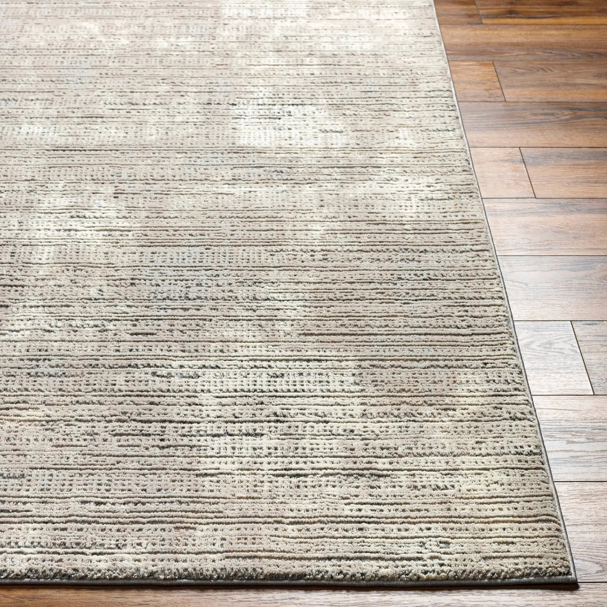 Alder ALD-2309 Taupe Area Rug by LIVABLISS