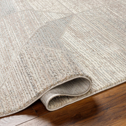Surya Alder ALD-2310 Taupe Machine Washable Area Rug by LIVABLISS