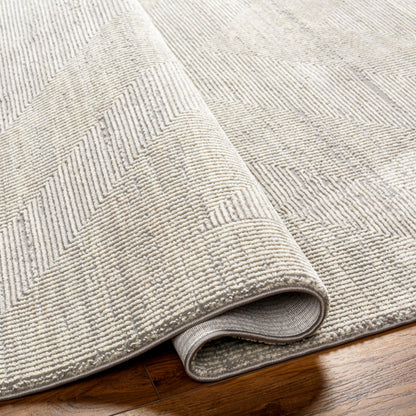 Surya Alder ALD-2311 Gray Machine Washable Area Rug by LIVABLISS