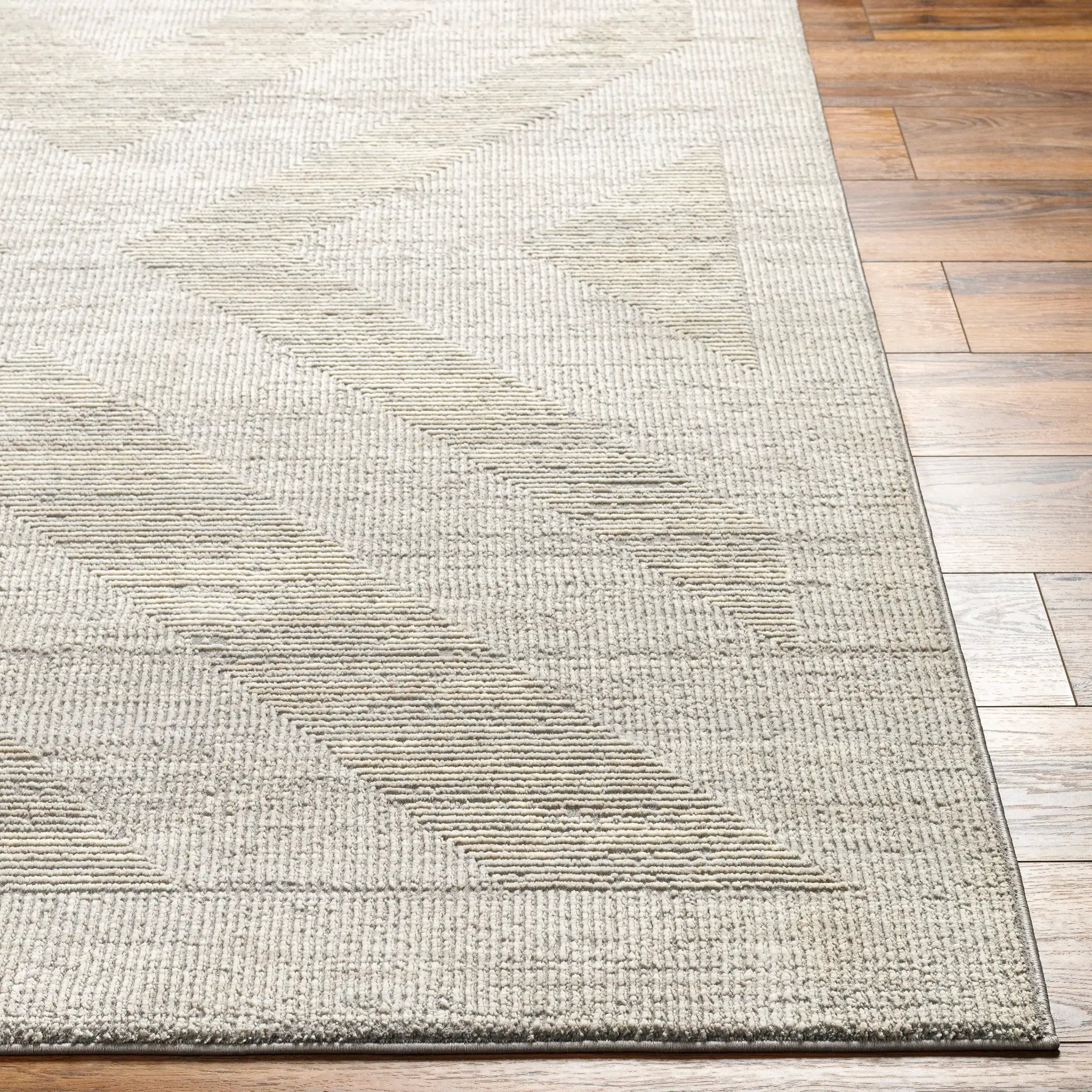 Alder ALD-2311 Gray Area Rug by LIVABLISS