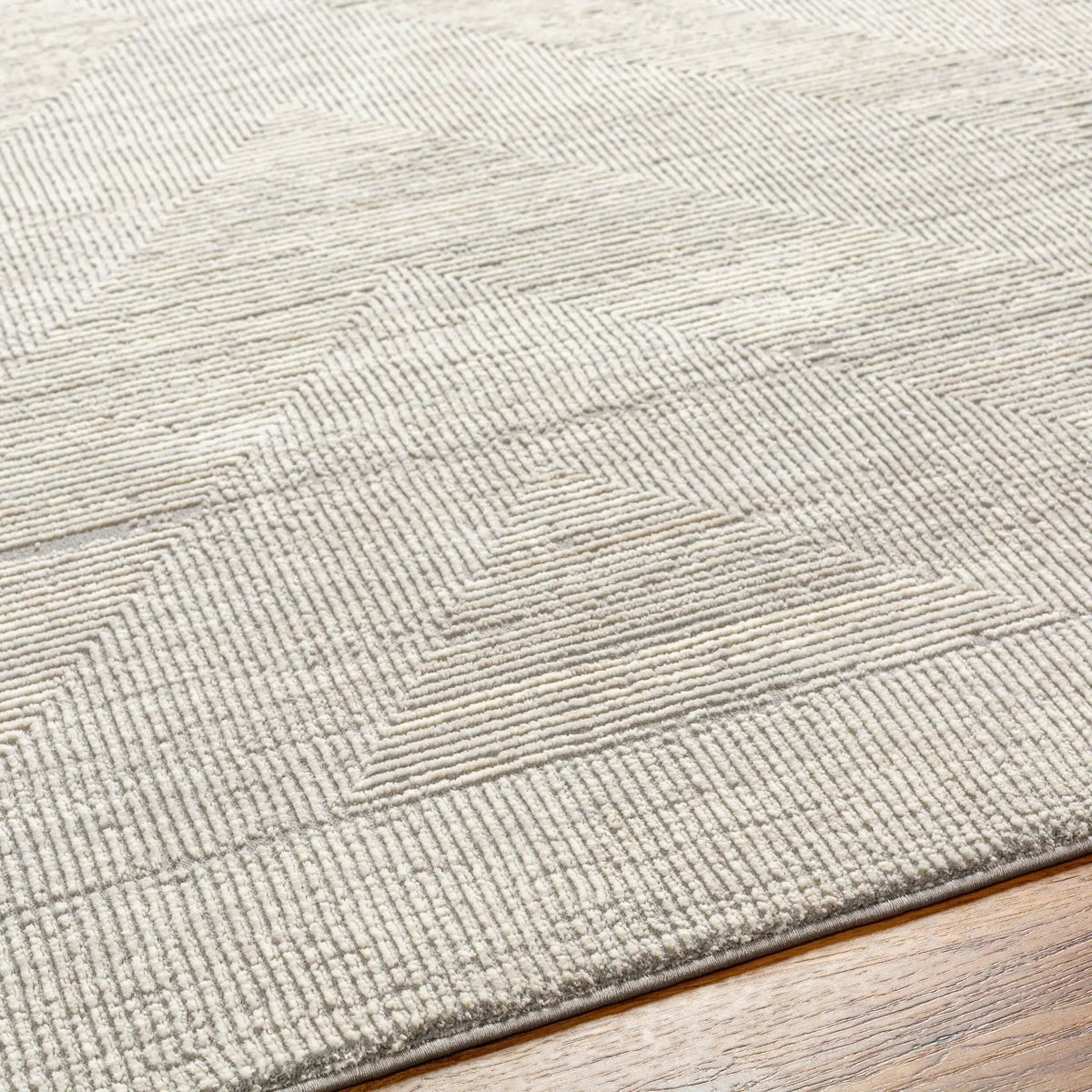 Alder ALD-2311 Gray Area Rug by LIVABLISS
