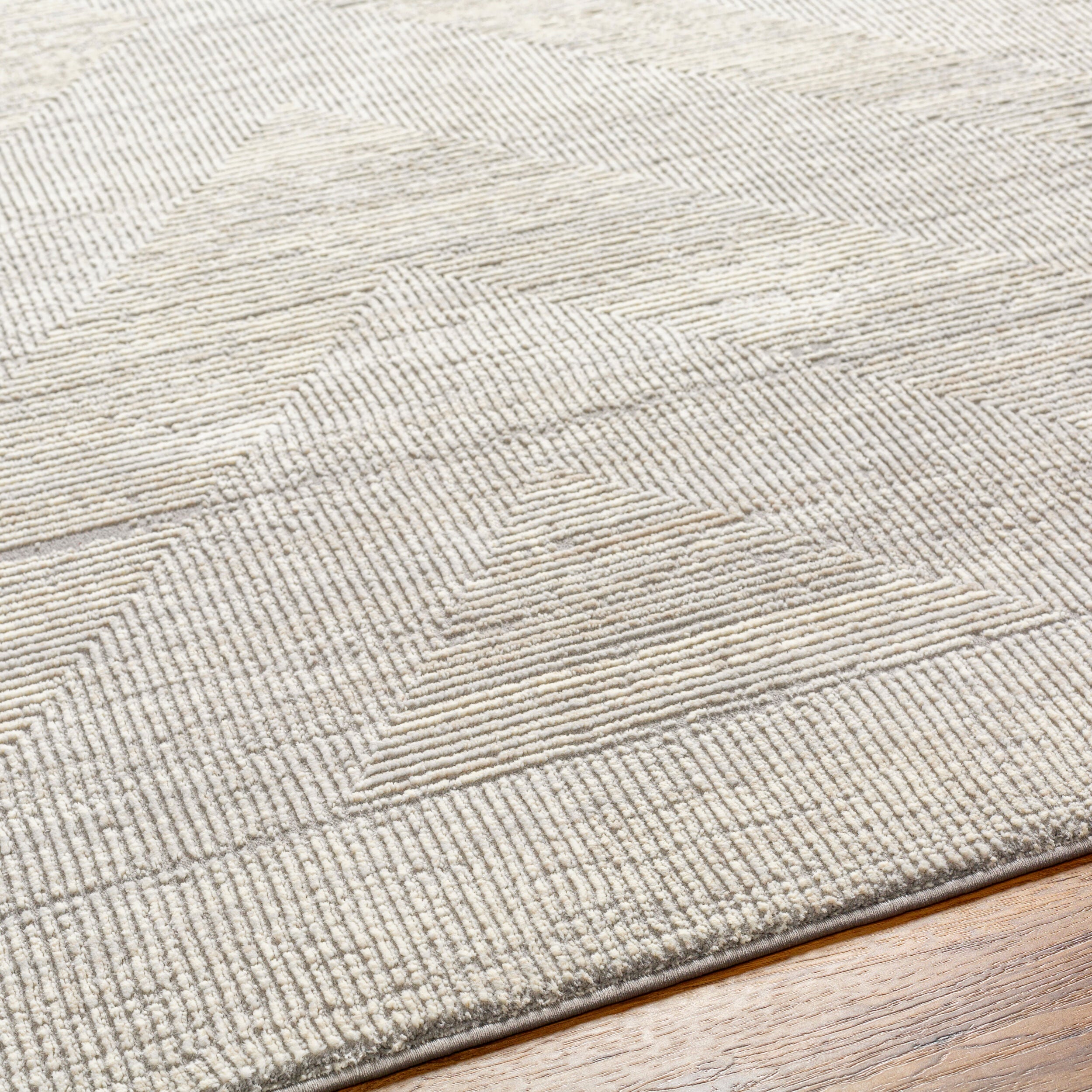 Surya Alder ALD-2311 Gray Machine Washable Area Rug by LIVABLISS