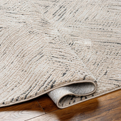 Surya Alder ALD-2313 Taupe Machine Washable Area Rug by LIVABLISS