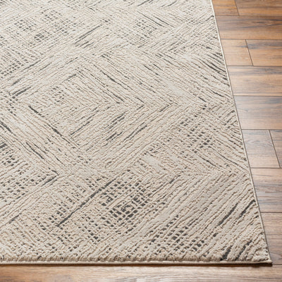 Surya Alder ALD-2313 Taupe Machine Washable Area Rug by LIVABLISS