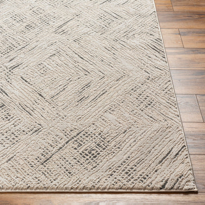 Surya Alder ALD-2313 Taupe Machine Washable Area Rug by LIVABLISS