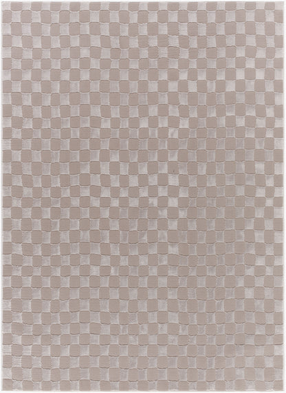 Surya Alder ALD-2321 Taupe Machine Washable Area Rug by LIVABLISS