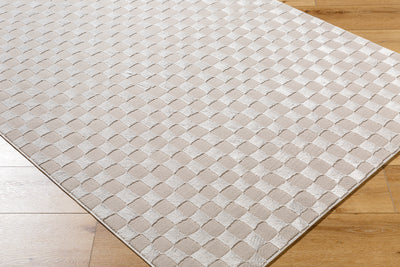 Surya Alder ALD-2321 Taupe Machine Washable Area Rug by LIVABLISS