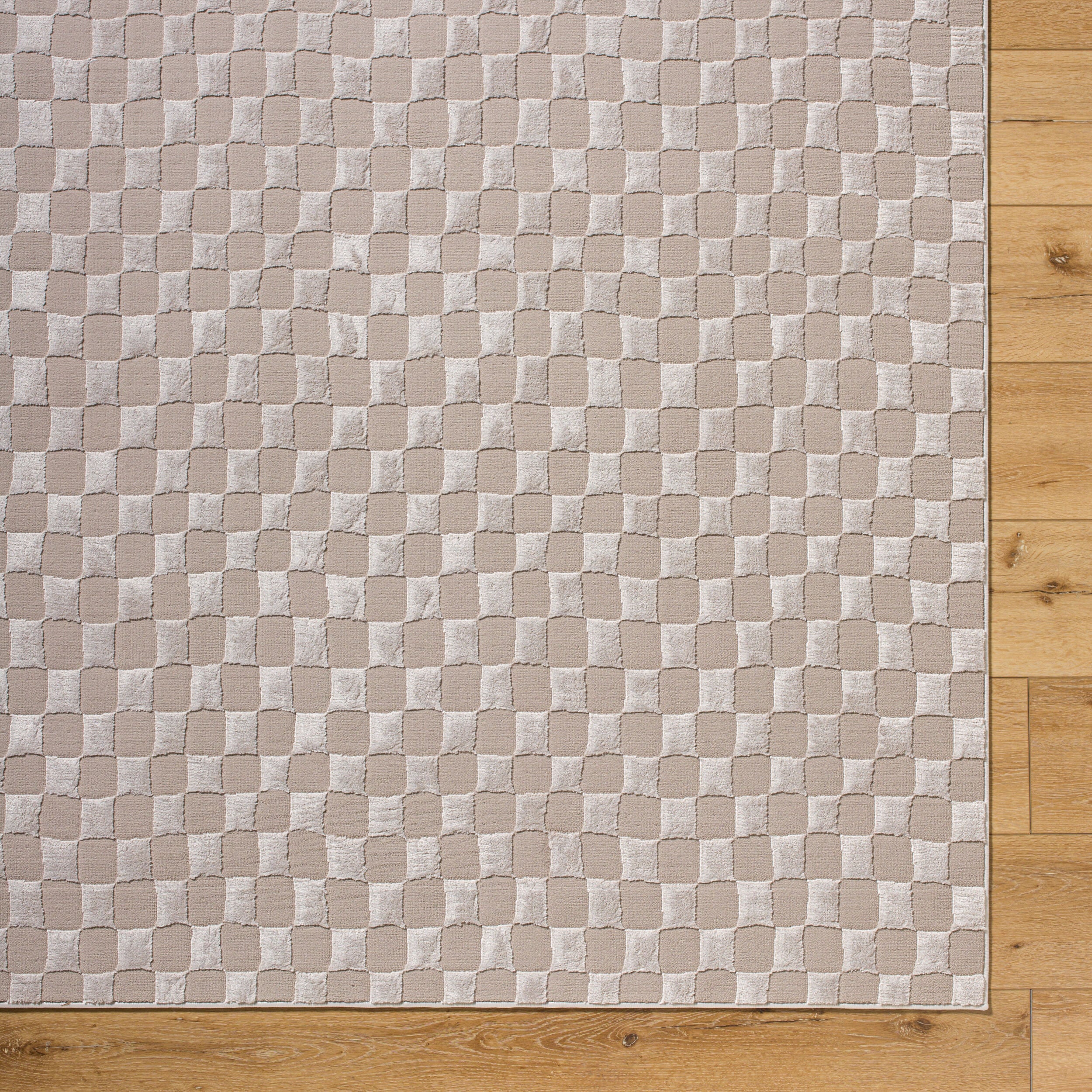 Surya Alder ALD-2321 Taupe Machine Washable Area Rug by LIVABLISS