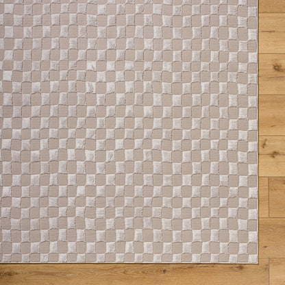 Surya Alder ALD-2321 Taupe Machine Washable Area Rug by LIVABLISS