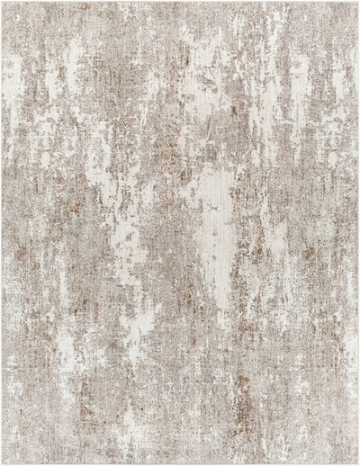 Allegro ALG-2304 Ivory Area Rug by LIVABLISS