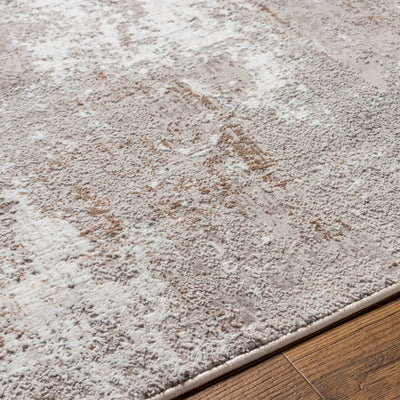 Allegro ALG-2304 Ivory Area Rug by LIVABLISS