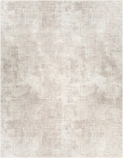 Allegro ALG-2320 Ivory Area Rug by LIVABLISS