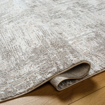 Allegro ALG-2320 Ivory Area Rug by LIVABLISS