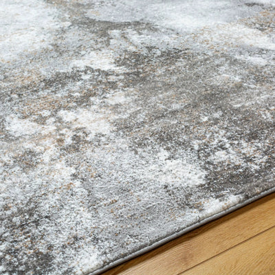 Allegro ALG-2336 Ivory Area Rug by LIVABLISS