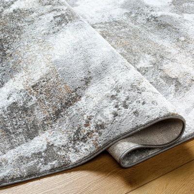 Allegro ALG-2336 Ivory Area Rug by LIVABLISS