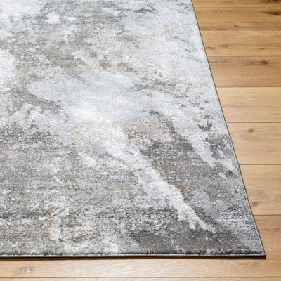 Allegro ALG-2336 Ivory Area Rug by LIVABLISS