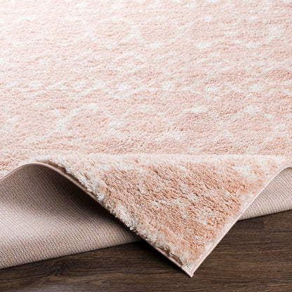 Livabliss Aliyah Shag ALH-2300 Pink Area Rug