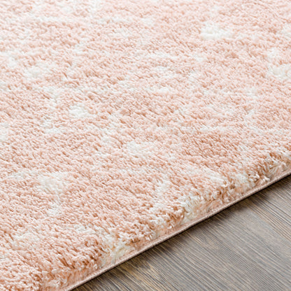 Livabliss Aliyah Shag ALH-2300 Pink Area Rug