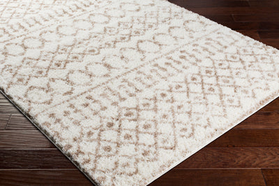 Livabliss Aliyah Shag ALH-2303 Beige Area Rug