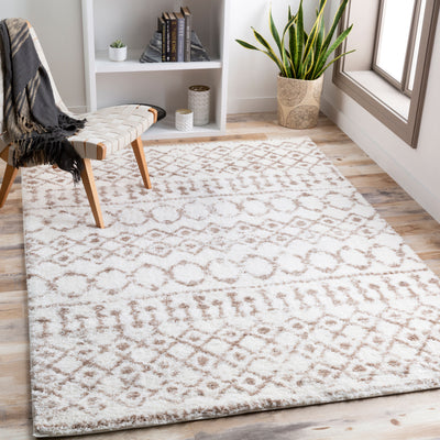 Livabliss Aliyah Shag ALH-2303 Beige Area Rug