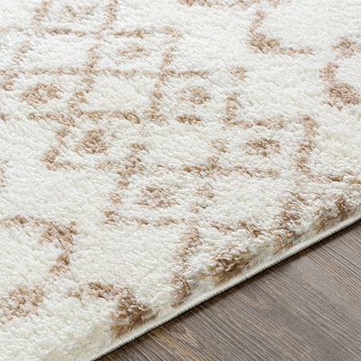 Livabliss Aliyah Shag ALH-2303 Beige Area Rug