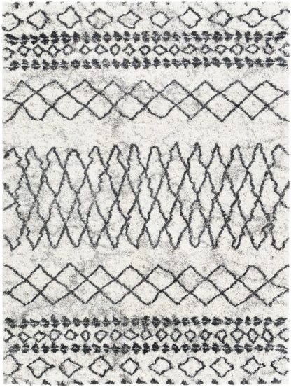 Surya Aliyah Shag ALH-2311 Gray Area Rug by LIVABLISS