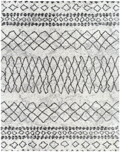 Surya Aliyah Shag ALH-2311 Gray Area Rug by LIVABLISS