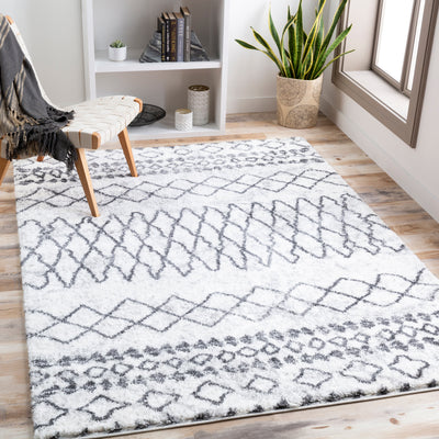 Surya Aliyah Shag ALH-2311 Gray Area Rug by LIVABLISS