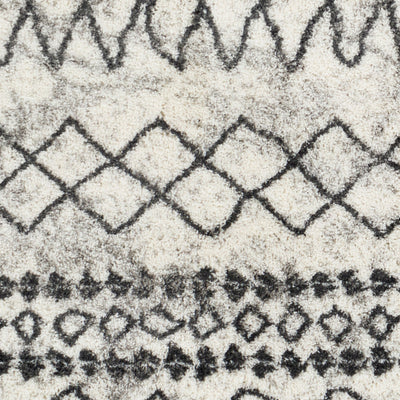 Surya Aliyah Shag ALH-2311 Gray Area Rug by LIVABLISS