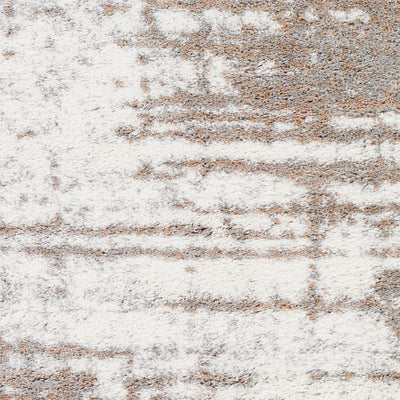 Surya Aliyah Shag ALH-2312 Brown Area Rug by LIVABLISS