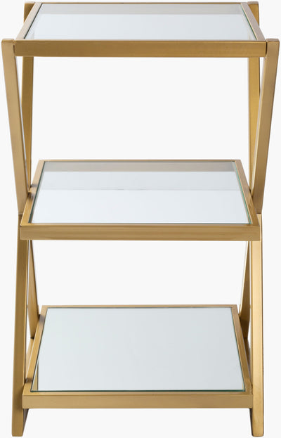 Surya Aliya ALI-001 Furniture End Table by LIVABLISS
