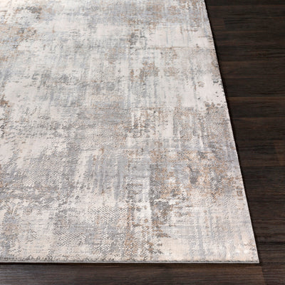 Surya Alpine ALP-2304 Light Gray Area Rug by LIVABLISS