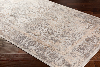 Surya Alpine ALP-2307 Light Gray Area Rug by LIVABLISS