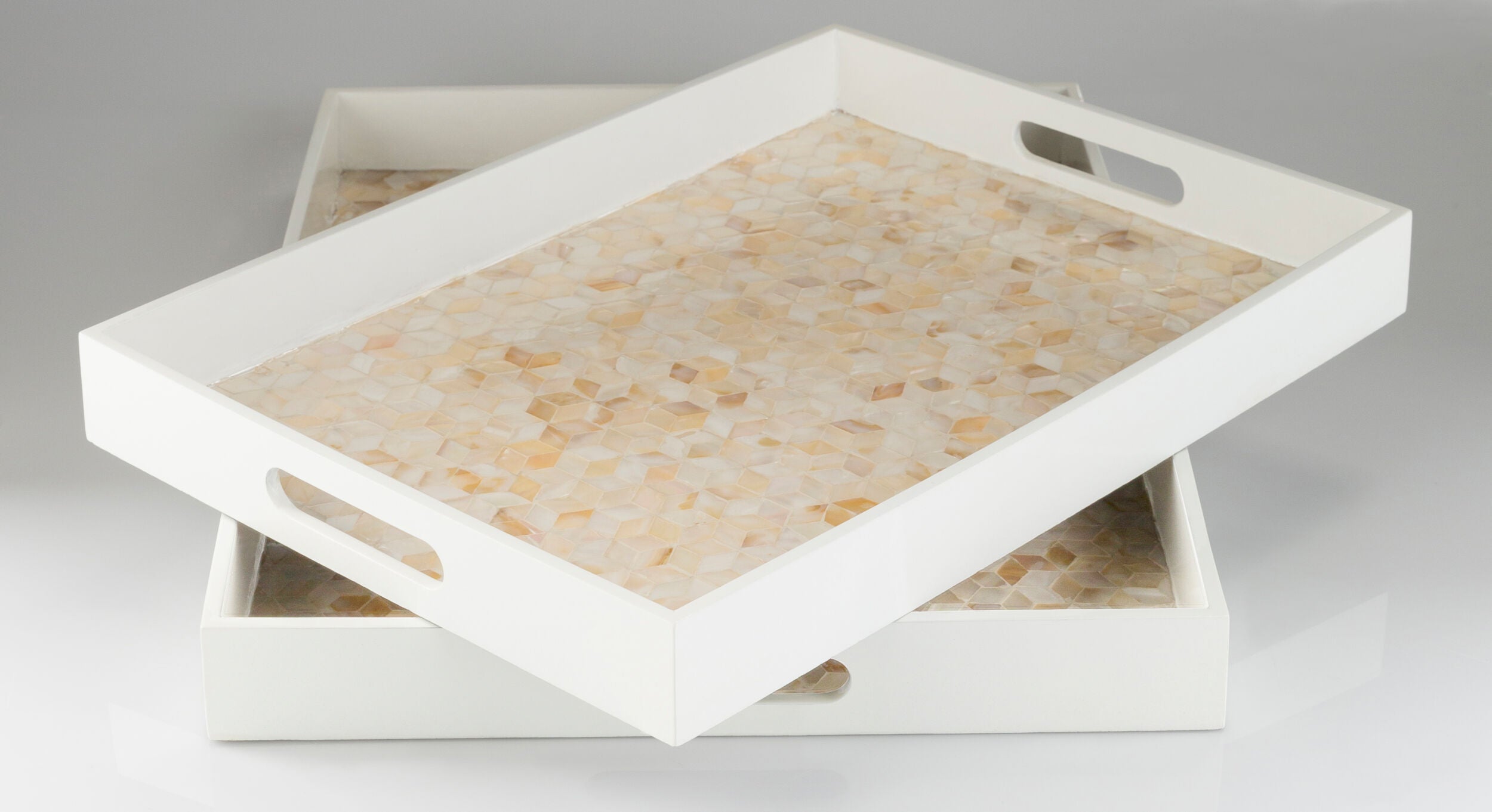 Surya Alessandra ALS-002 Decorative Decorative Tray by LIVABLISS
