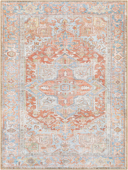 Surya Alanya ALY-2305 Brown Machine Washable Area Rug by LIVABLISS
