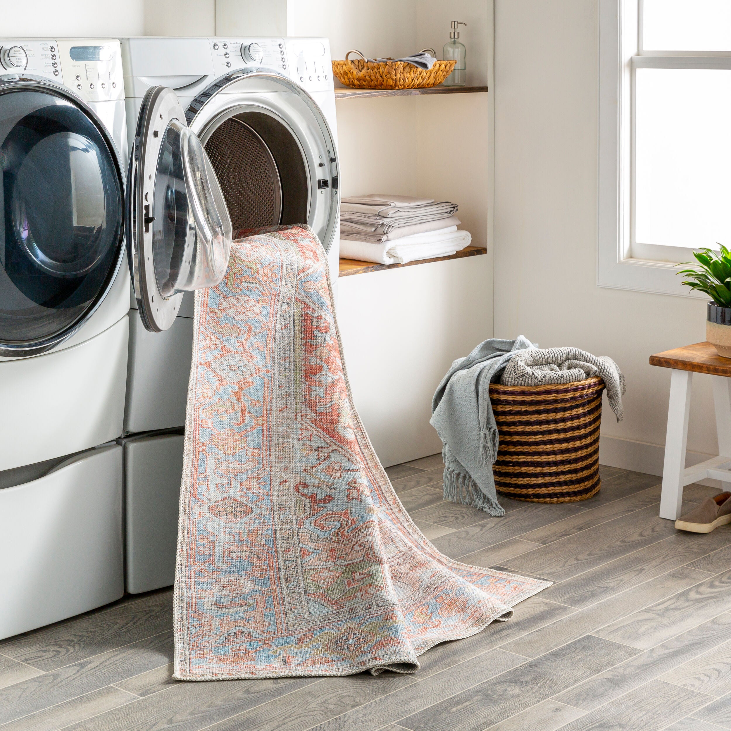Surya Alanya ALY-2305 Brown Machine Washable Area Rug by LIVABLISS