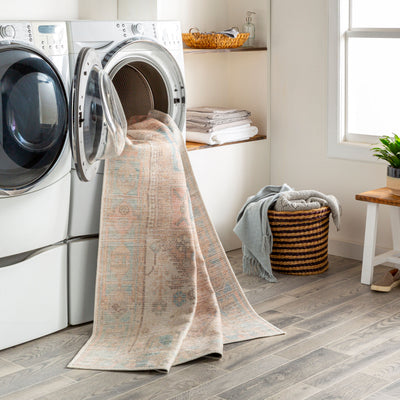 Surya Alanya ALY-2306 Beige Machine Washable Area Rug by LIVABLISS