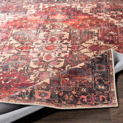 Surya Amelie AML-2308 Brown Machine Washable Area Rug by LIVABLISS