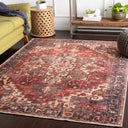 Surya Amelie AML-2308 Brown Machine Washable Area Rug by LIVABLISS