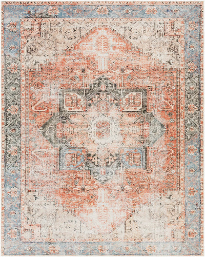 Amelie AML-2309 Rust Area Rug by LIVABLISS