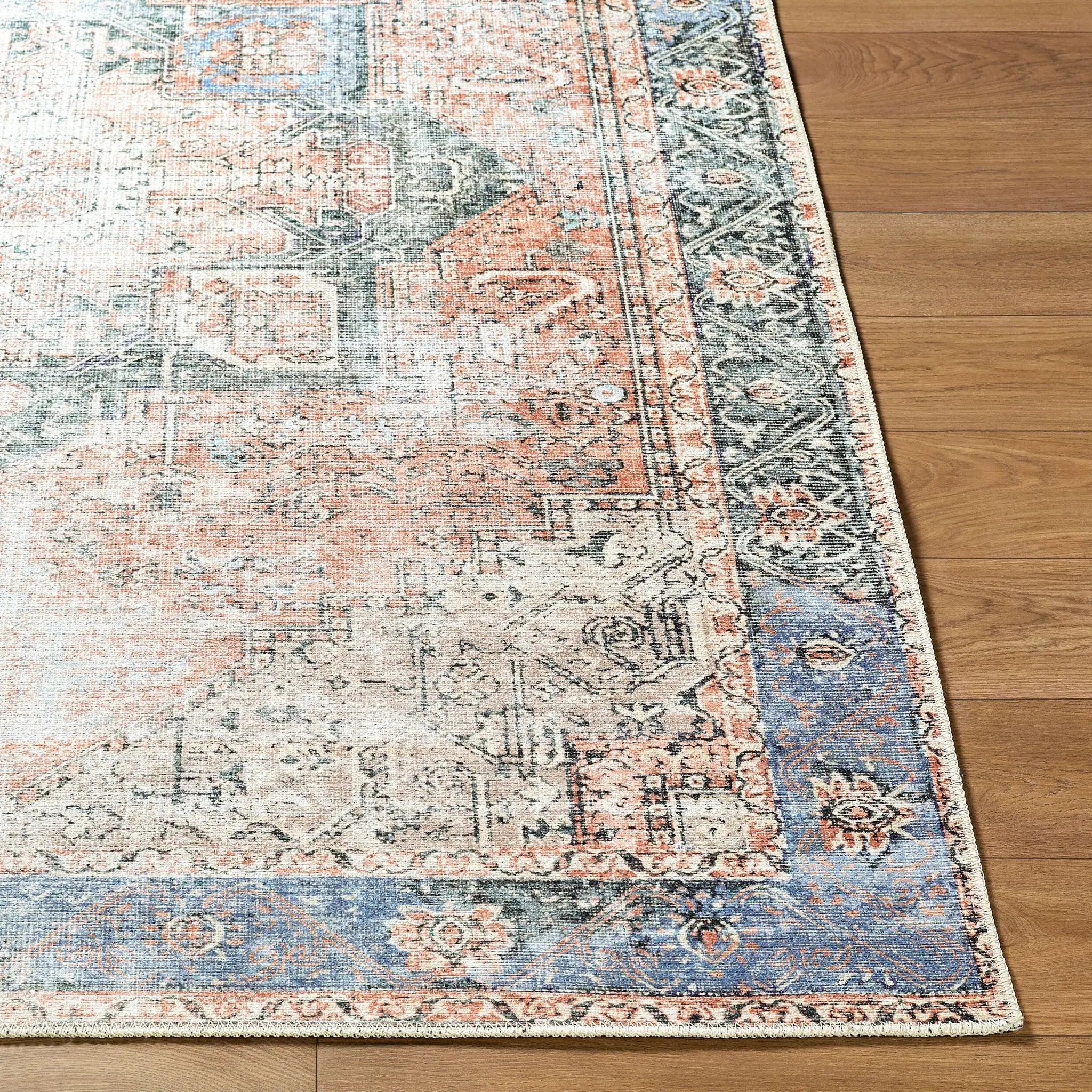 Amelie AML-2309 Rust Area Rug by LIVABLISS