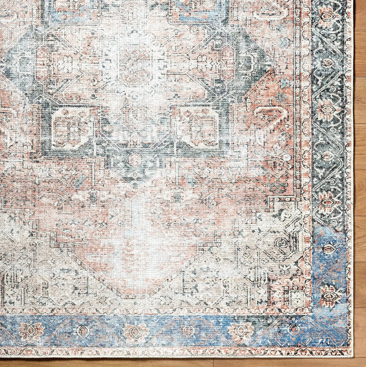 Amelie AML-2309 Rust Area Rug by LIVABLISS