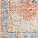Amelie AML-2309 Rust Area Rug