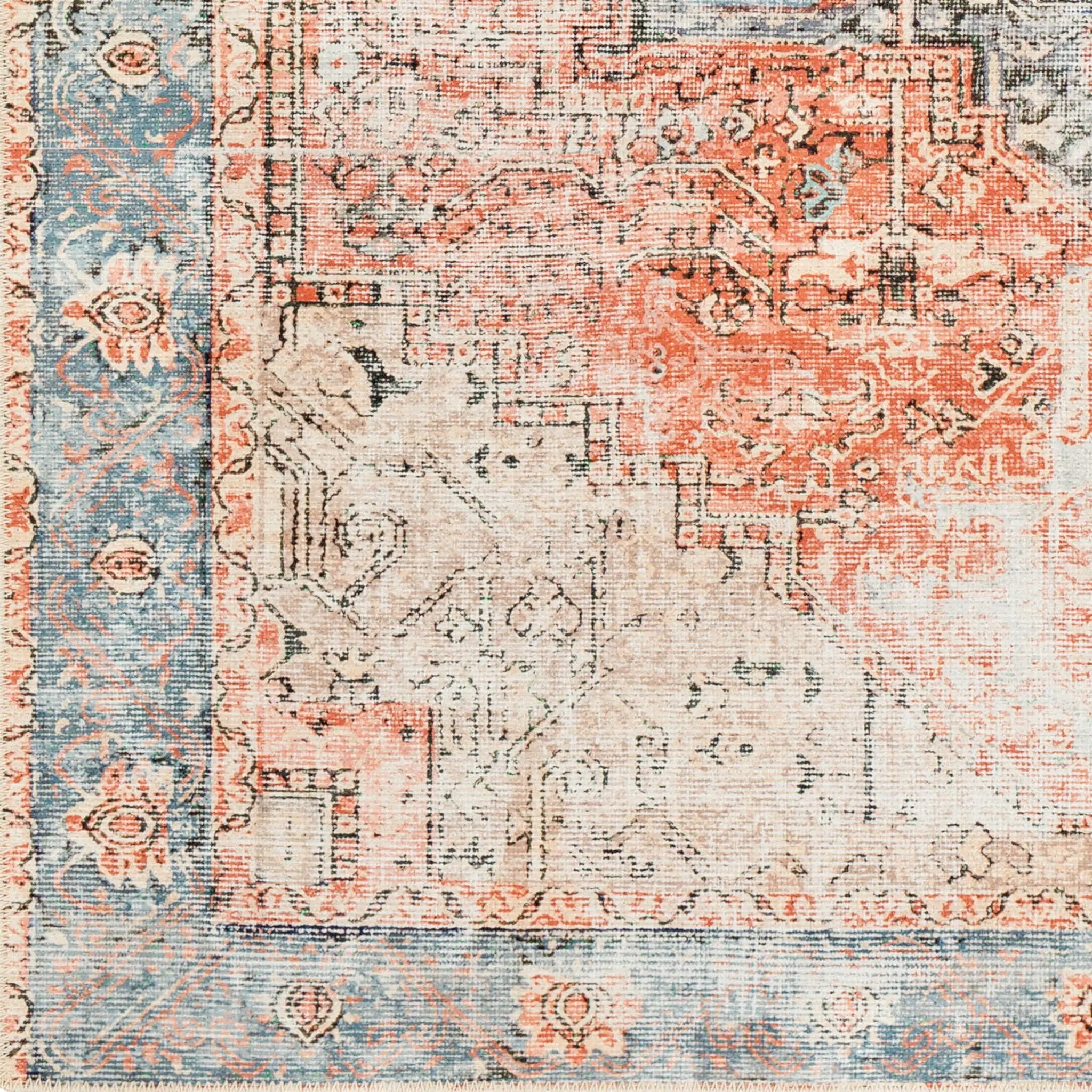 Amelie AML-2309 Rust Area Rug by LIVABLISS