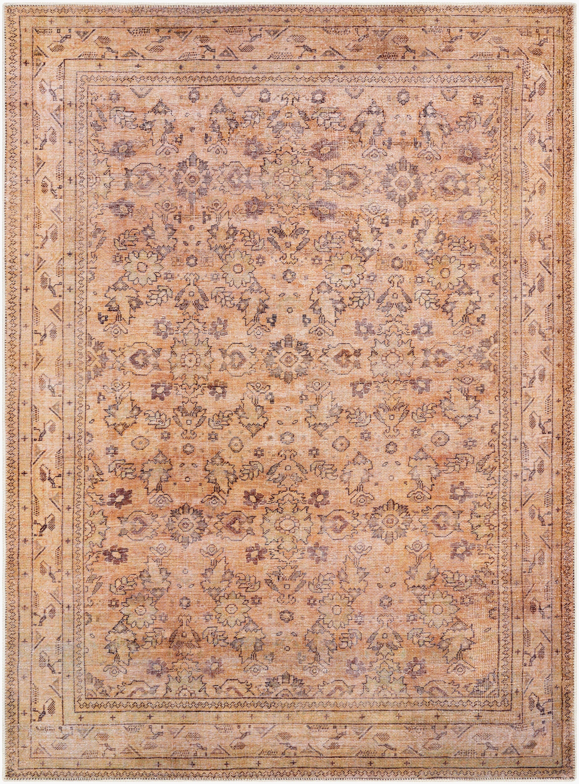 Amelie AML-2338 Brown Area Rug