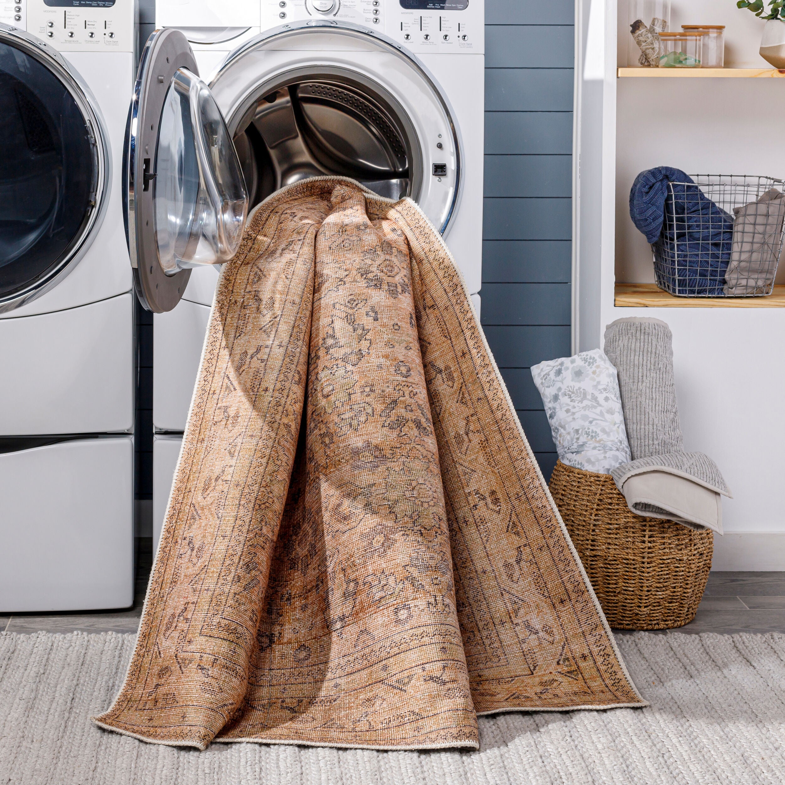 Amelie AML-2338 Brown Area Rug