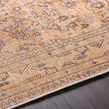 Amelie AML-2338 Brown Area Rug