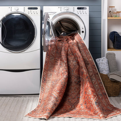 Amelie AML-2341 Rust Area Rug